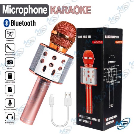 copy of Micro Karaoké Bluetooth WS-858