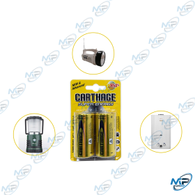 🔋 Lot de 2 Piles D R20 CARTHAGE Super Energy 1.5V – Haute Puissance pour Chauffe-bain & Lampes